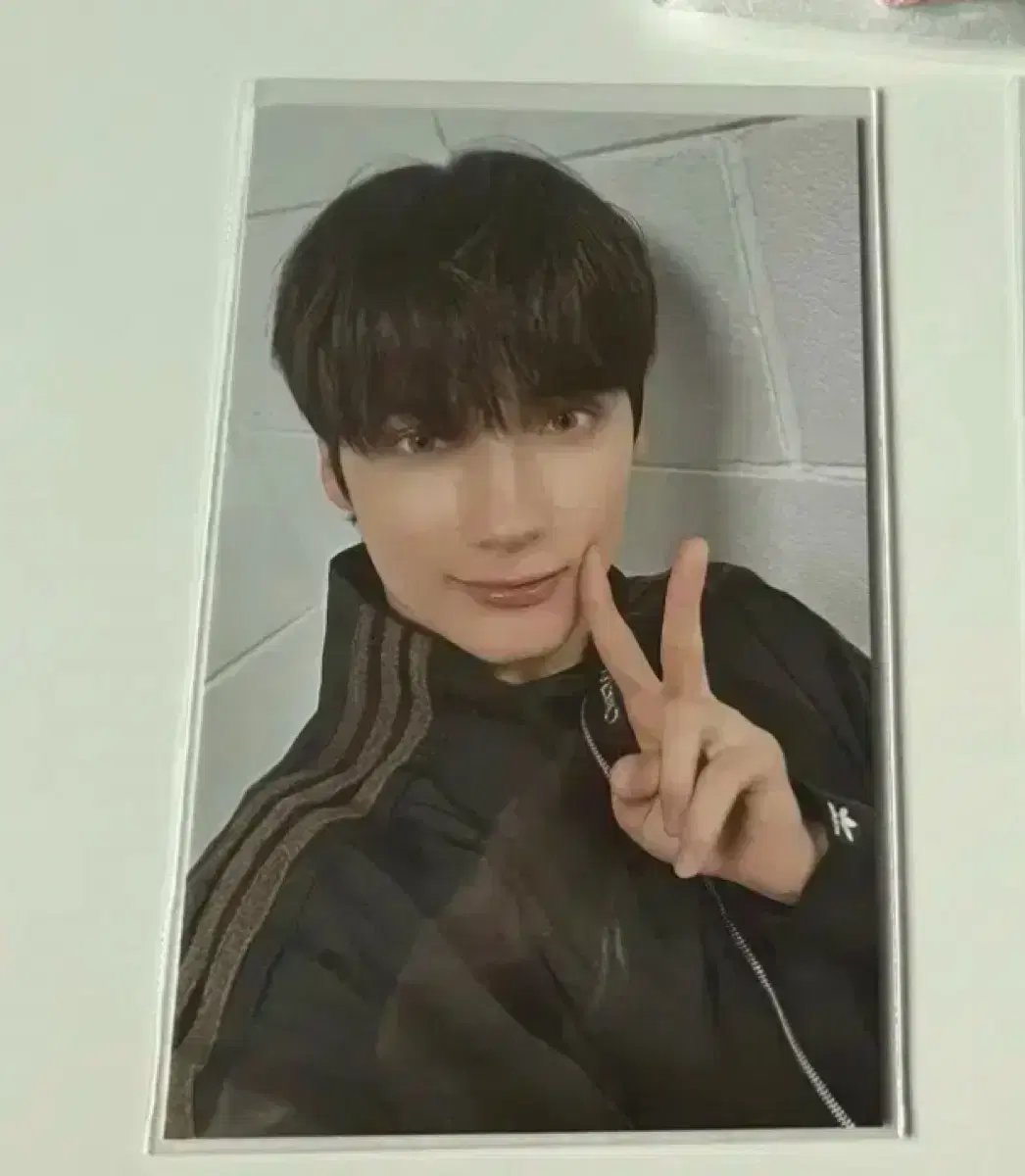 뿔바투 오프라인 포카 휴닝카이