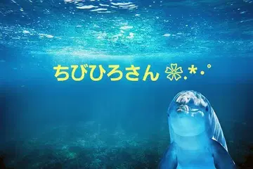 부리 클립 치비히로 씨