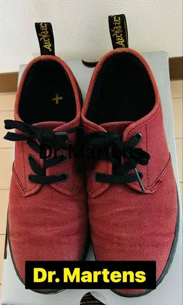 Dr. Martens 캔버스 스니커즈 24cm