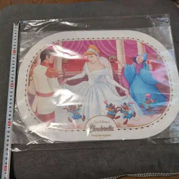 미개봉 디즈니랜드 신데렐라 런치 매트