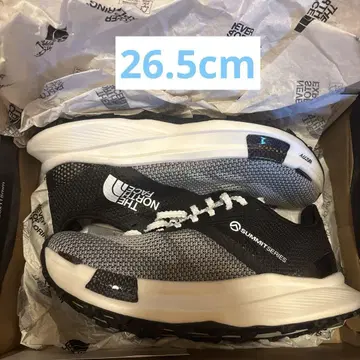 THE NORTH FACE 서밋 벡티브 프로