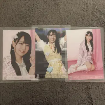 =LOVE 이코러브 타키와키 쇼코 브로마이드 아레나 투어 2024 DVD