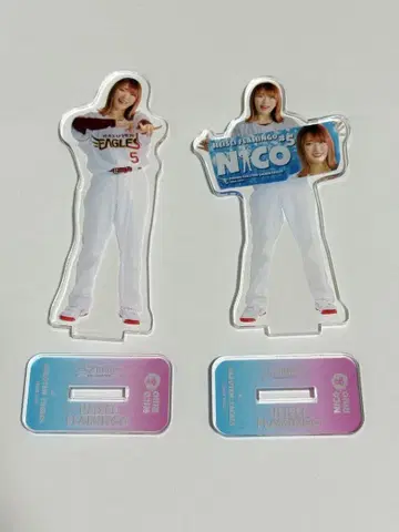 헤이세이 플라밍고 NICO