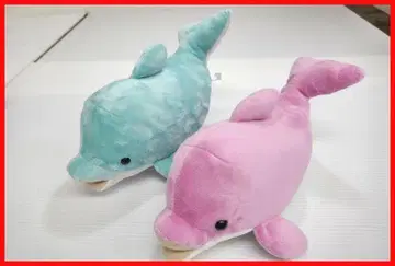 돌고래 봉제 인형 Another Aquarium 중고 m Ma-106