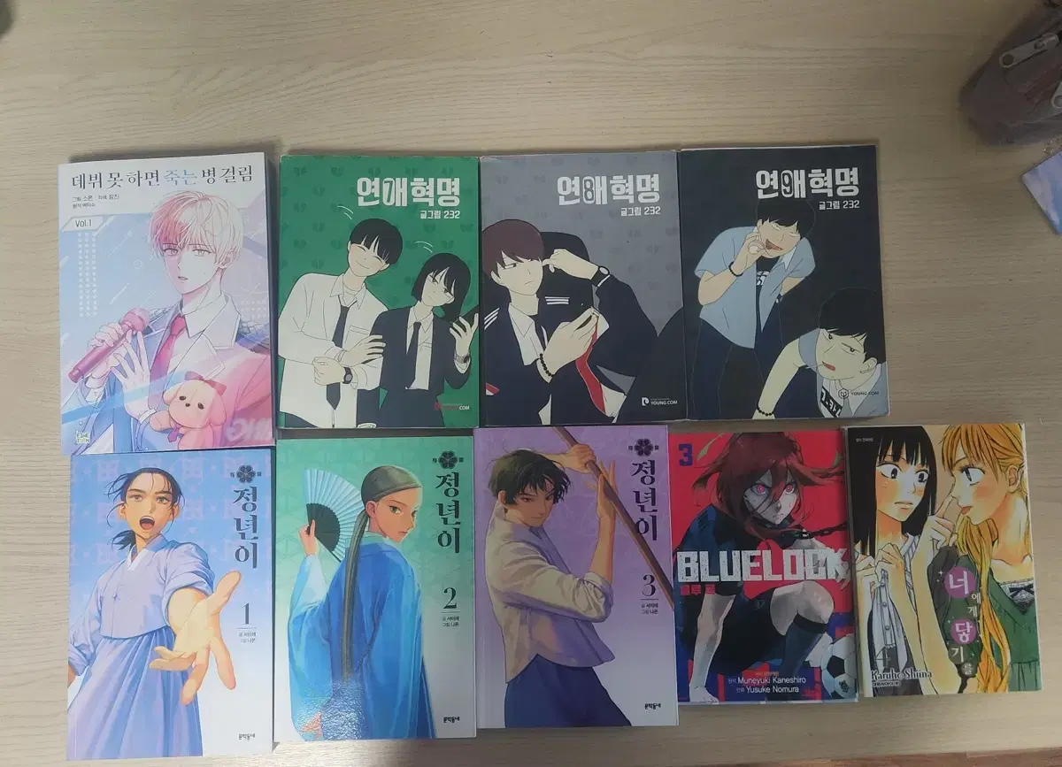 각종 만화책,웹툰 단행본 판매 / 데못죽, 연애혁명, 정년이, 블루록