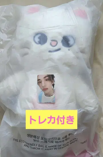 Stray Kids 스키즈 테디베어 봉제 인형 SKZOO 지니레토
