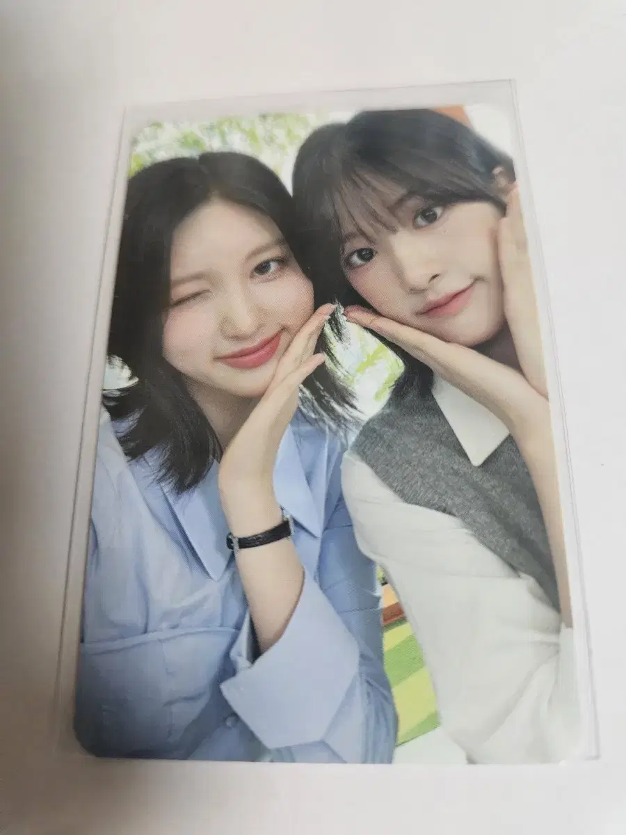 아이브 가을 유진 포카