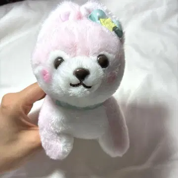 콩 시바 삼형제 핑크 시바견 봉제 인형