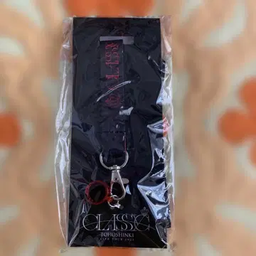 새상품 동방신기 펜라이트 홀더 넥스트랩 펜라이트 넥스트랩
