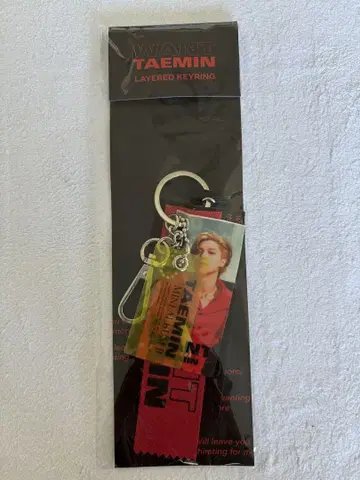 TAEMIN WANT 키링