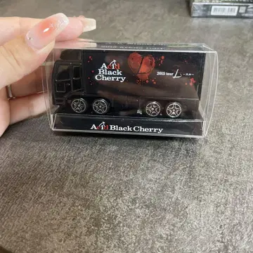 Acid Black Cherry 2015 아레나 투어 미니카