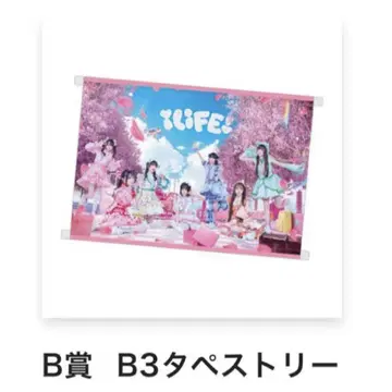 iLiFE! ZEPP 투어 SP 온라인 복권 B상 태피스트리
