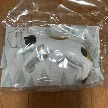 펠리시모 고양이 우산 택