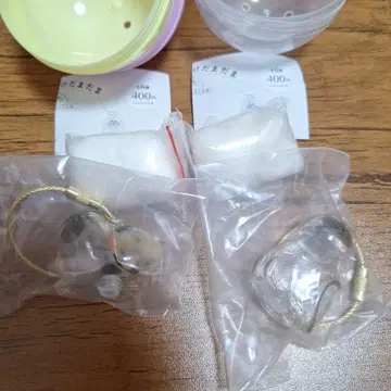 우리 집 고양이, 샴과 삼색 고양이