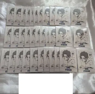 블루 록 파샤코레 묶음 판매