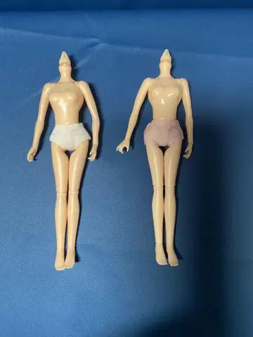 포토제닉 리카짱 바디 2개