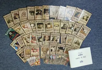 맥스트 수배서 전 39종 세트 파일 및 포인트 카드 포함