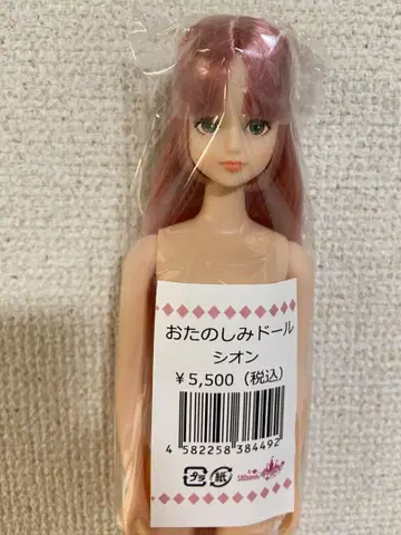 리카짱 캐슬 시온
