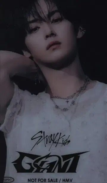 Stray Kids HMV LeeKnow 자이언트