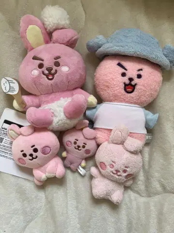 cooky 봉제 인형 키링 세트