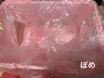 빤쮸토끼 마이 바스켓 샹브르 한정판