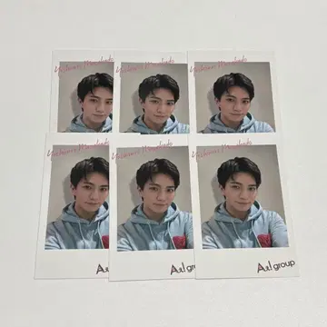 마사모토 요시노리 카멜레온 폴라로이드 카드 6장