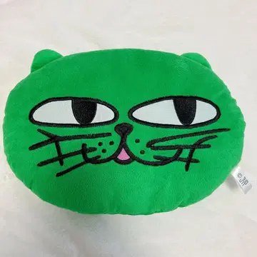 2PM 태경 오쿠캣 OKCAT 쿠션