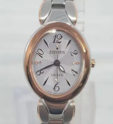 작동 중 CITIZEN EXCEED 엑시드 에코 드라이브 네잎 클로버