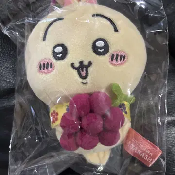 치이카와 토끼 야마나시 한정판 지역 특산품 포도 봉제 인형 키체인