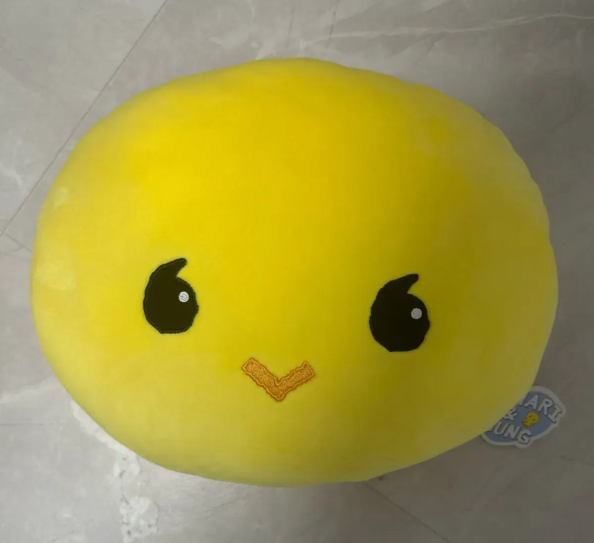 Shinee Taemin Tyamari Cushion