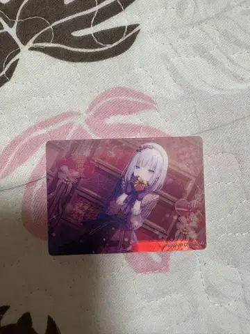 프로세카 노블 아트 연주