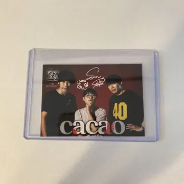 킹 오브 콘트 카페 트레이딩 카드 카카오