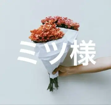 미츠님