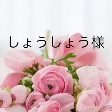 쇼쇼 셋업 S 에크루