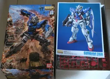MG 1/100 건담 엑시아