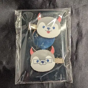 노킹 온 락 도어 헤어 클립 세트