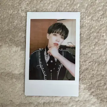팬더 드래곤 파라곤 타이 가 폴라로이드 45