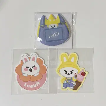 skzoo 복권 이름 배지 스티커 Lee 비트 세트
