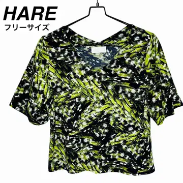 HARE 하레 벌룬 소매 V넥 반팔 상의 FREE SIZE