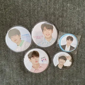 세븐틴 세부치 원우 캔뱃지 5개 세트