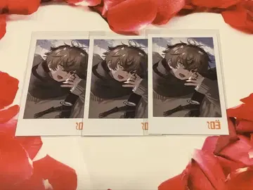 알반 녹스 폴라로이드 니지산지 윈터 데이트