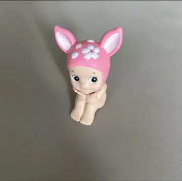 소니 엔젤 체리 블라썸 코지카 fawn