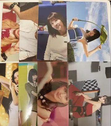 전시 사진 모모