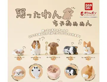 A-2 컴프 화난 강아지 총 5종 가챠 강아지 개 강아지