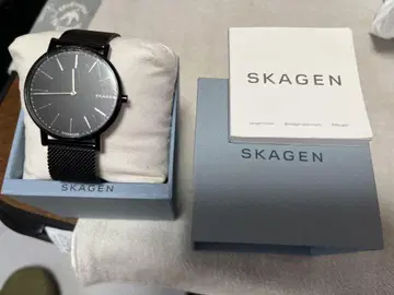 SKAGEN 블랙 메쉬 밴딩 시계