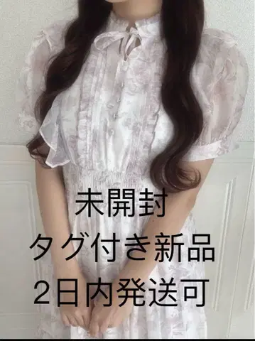 evelyn 에블린 라메 프릴 꽃무늬 OP 원피스 핑크 프리 사이즈