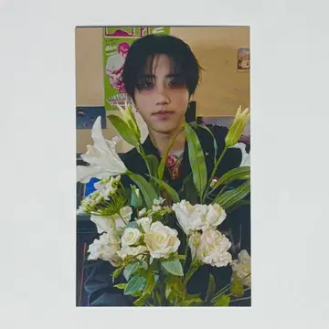 스트레이키즈 라키드로 한