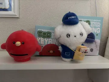 [한국] 공식 변우석/평우석 TTE & BWS 키링