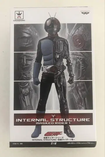INTERNAL STRUCTURE 가면라이더 1호