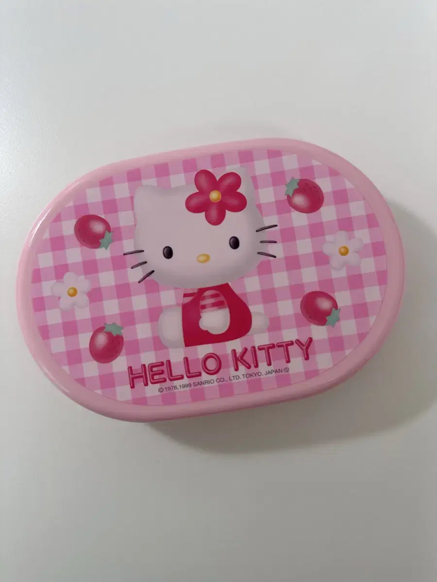 Vintage Strawberry Kitty Lunchbox